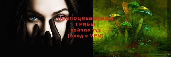 таблы Тында