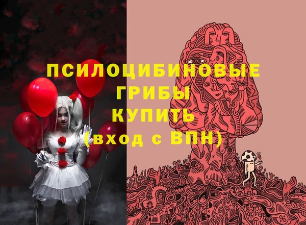 шишки Усинск