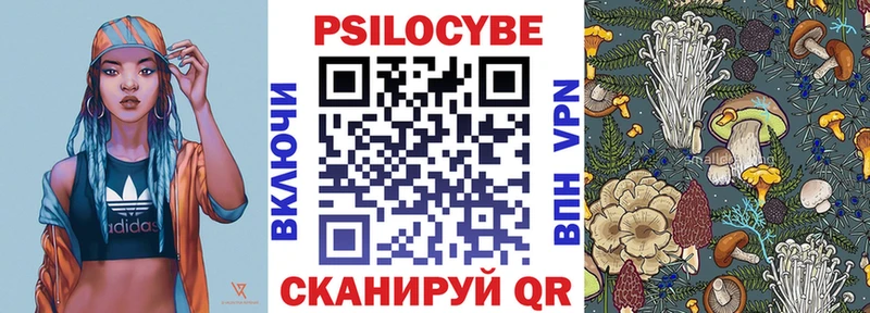 Купить закладки  Приволжский  Псилоцибиновые грибы Psilocybe 